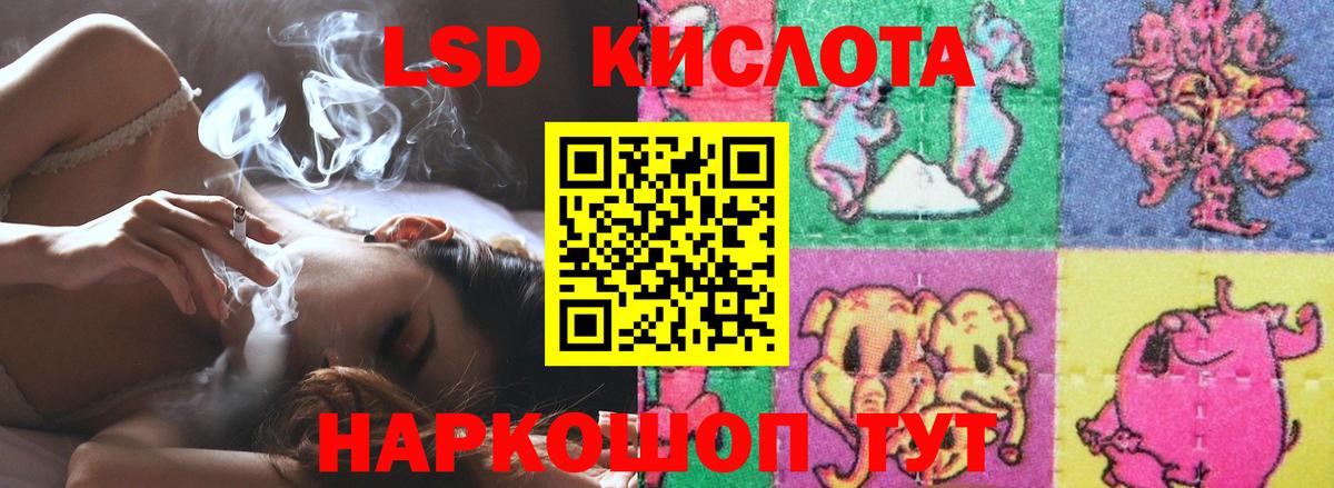 Электрогорск  ЛСД экстази кислота  Вход с VPN  Лсд 25 экстази кислота 