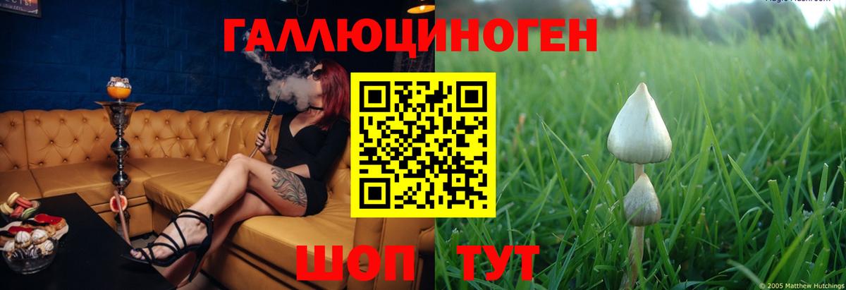 Электрогорск  Псилоцибиновые грибы мухоморы  Вход с VPN 